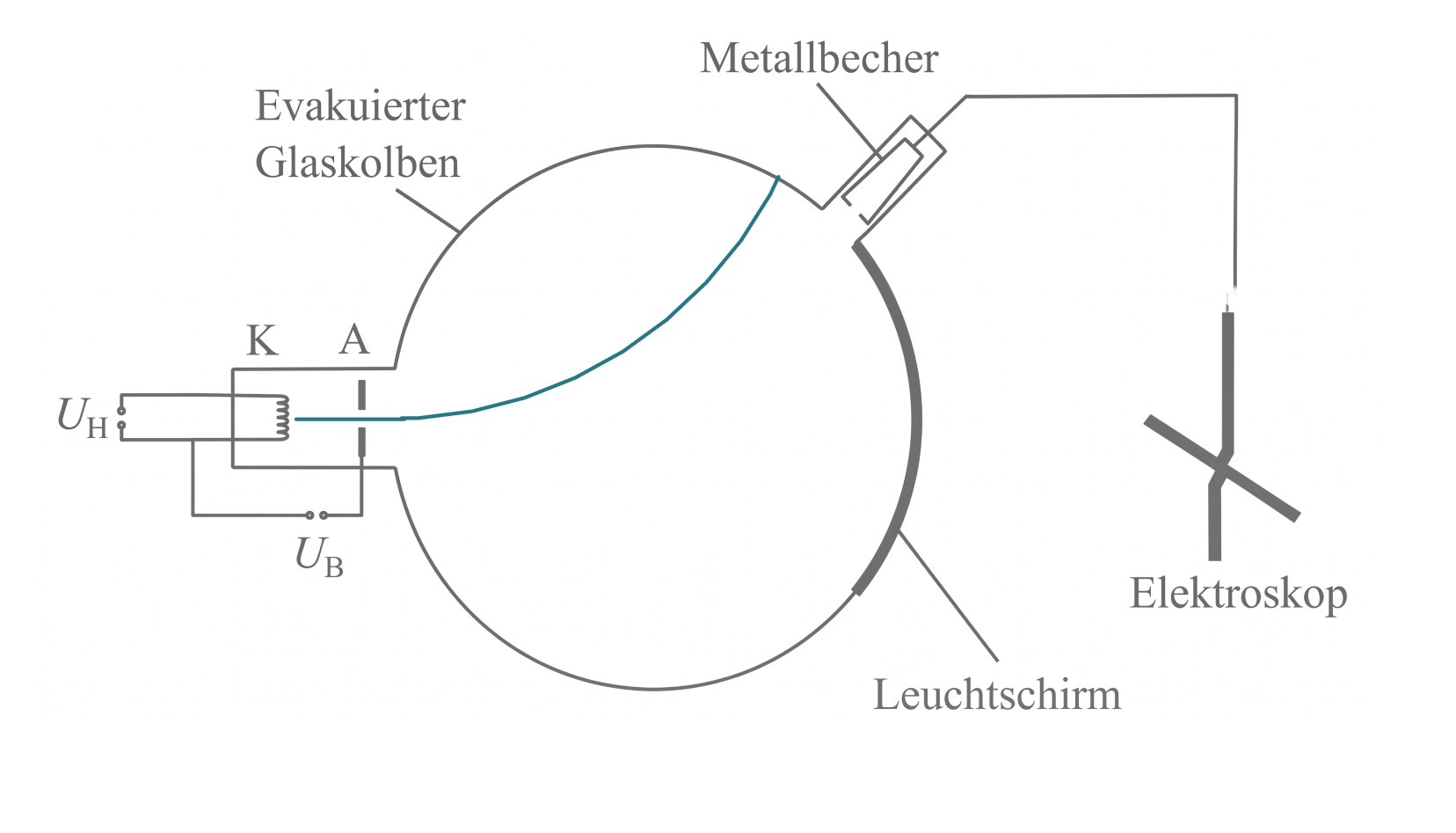 Schematischer Aufbau einer evakuierten Glaskolbenröhre mit Kathode, Anode, Metallbecher, Leuchtschirm und Elektroskop